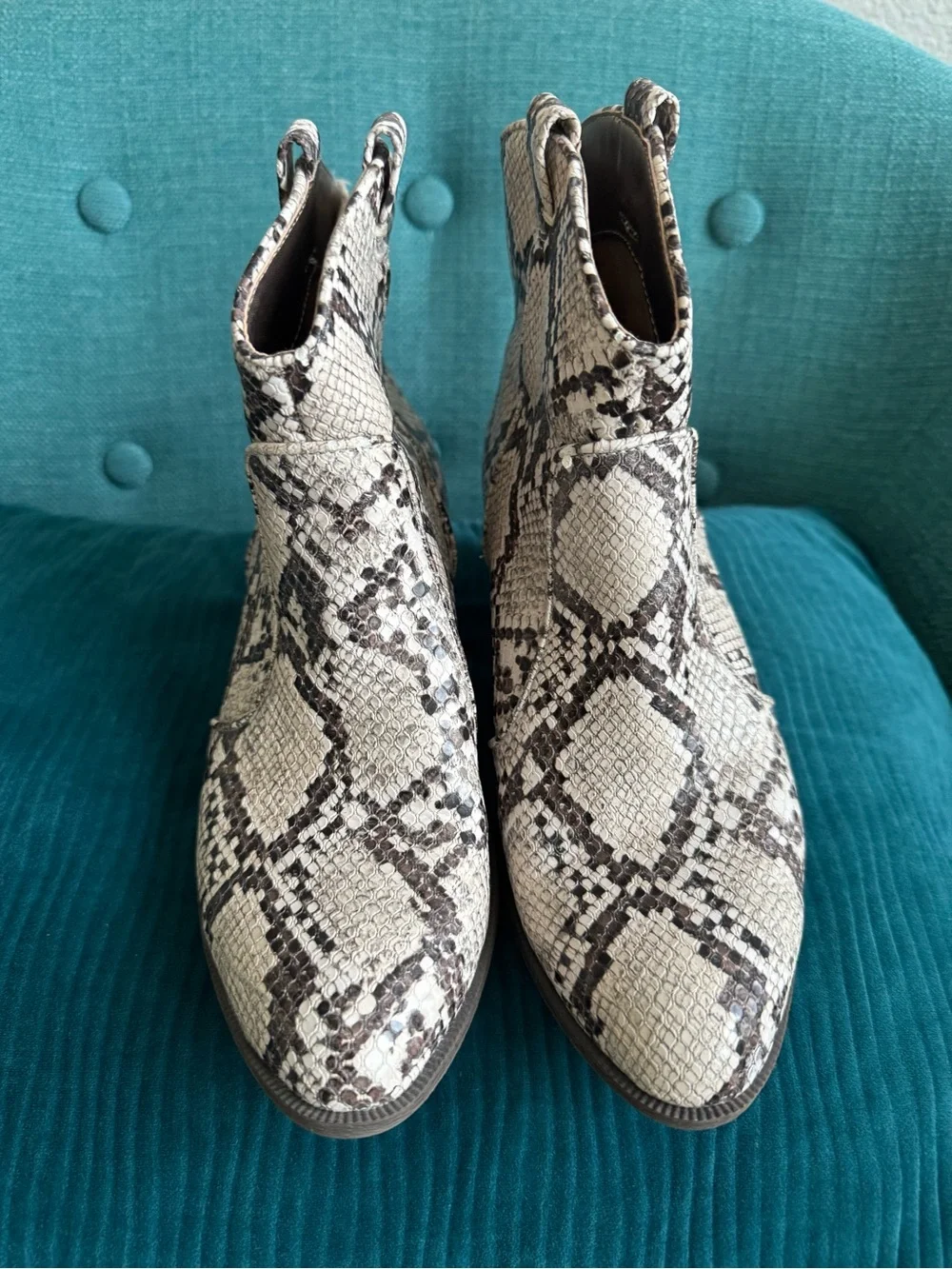 Style & Co. Snake-Print Chelsea Ankle Booties in Beige and Brown